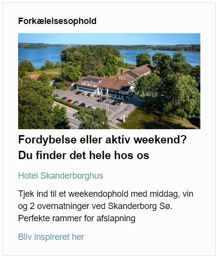 Screenshot af et eksempel på en kampagne omkring 